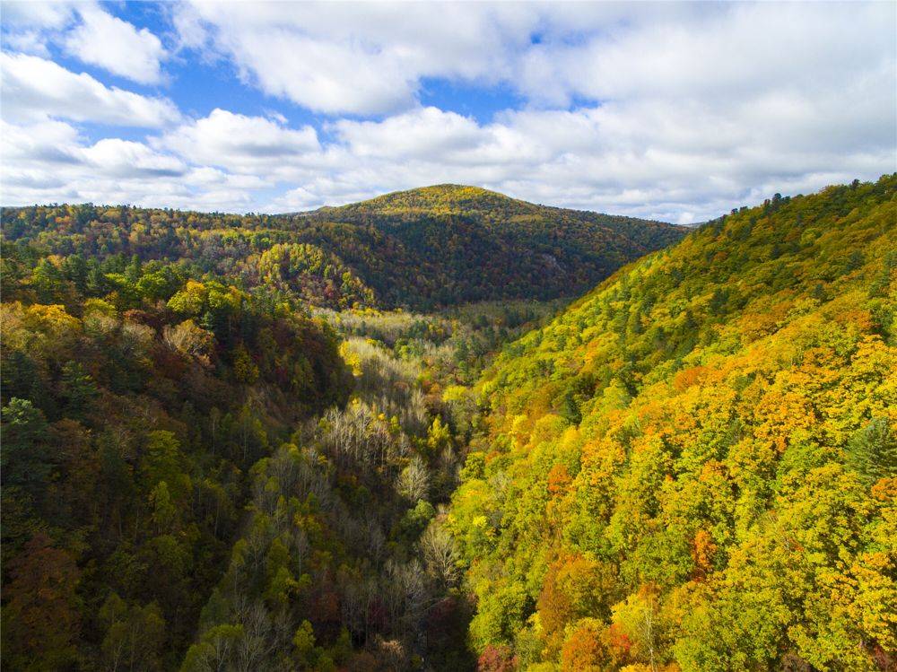 湍急的碧泉河欢快地奔跑着,如果你走累了,可以抓一捧碧泉河的矿泉水饮