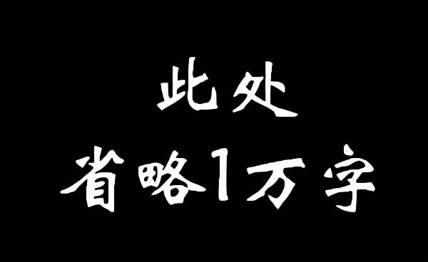 此处省略1万字