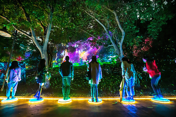 全息森林公园带你玩转光影世界