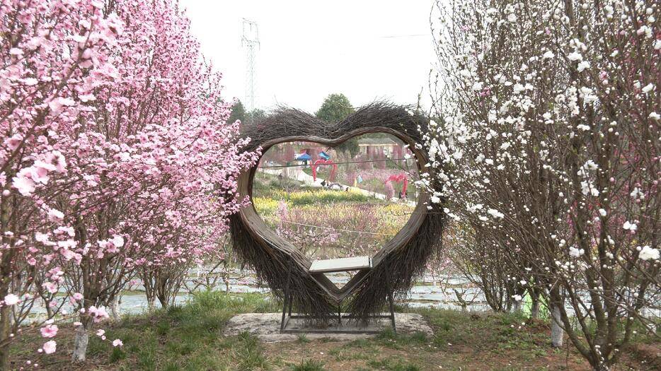 浪漫赏花季桃花笑春风 移动社 浪漫赏花季桃花笑春风 移动社