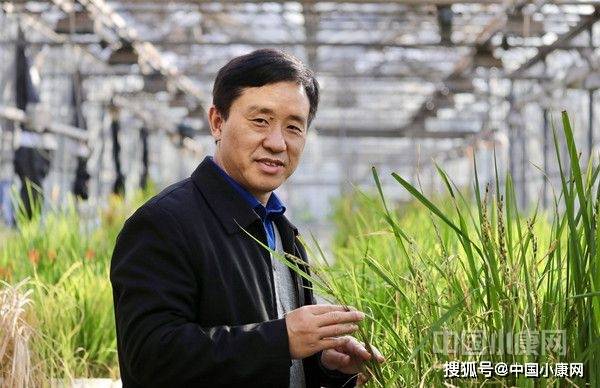 小康人物徐建龙打造未来粮仓