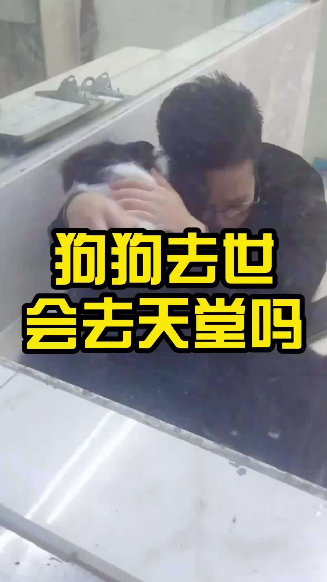 狗狗去世会去天堂吗