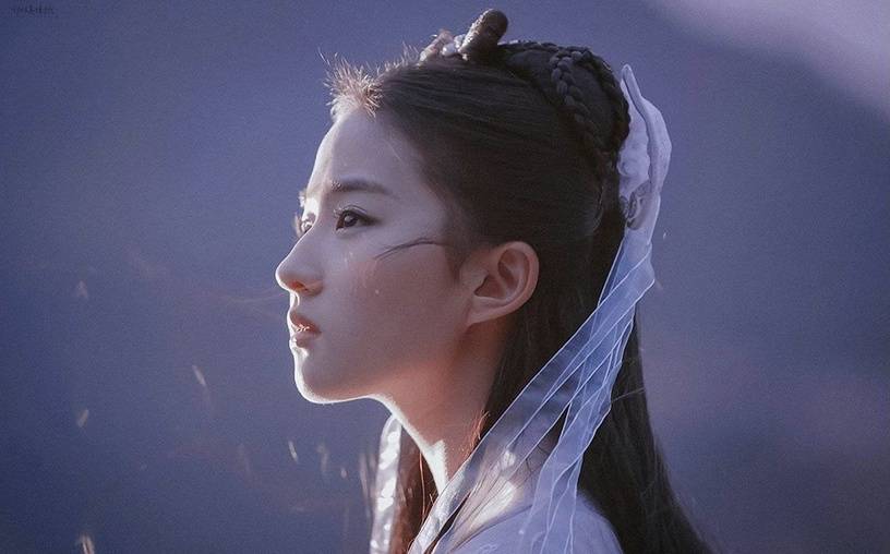 古言小说描写的女主长相别无二致,面如芙蓉,眉如柳叶,侧脸凤目高鼻,又