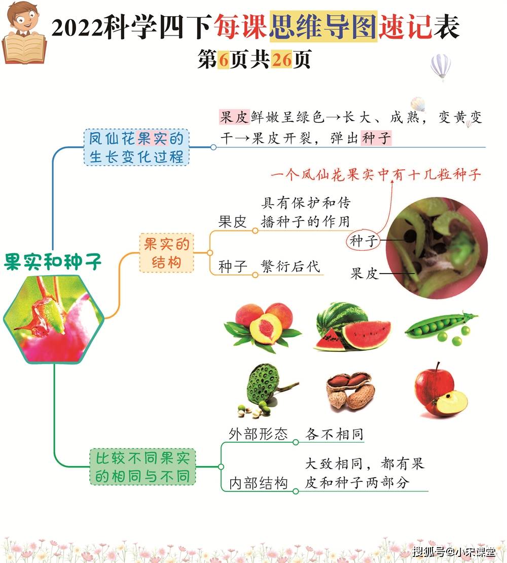 科學四年級下:每課思維導圖一覽表,一課一圖26張,極速提分必背_單元_