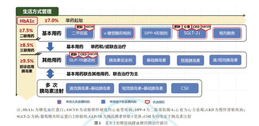 治疗|老年人的降糖药应该怎么选？2022血糖“新标准”来了