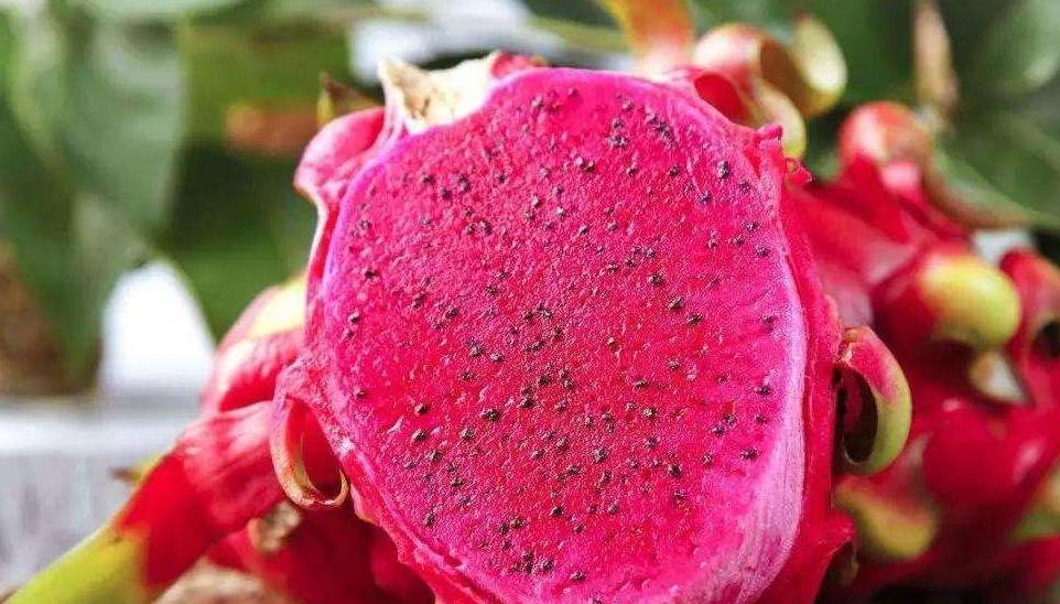 因为聪明女人“懂保养”,记住“常吃2物,少做2事”,温暖子宫更年轻