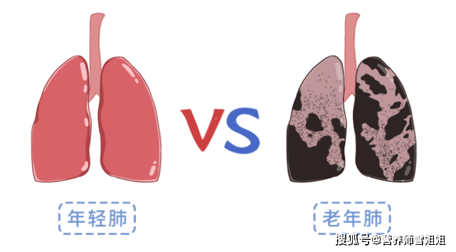 成功戒菸後,身體會收穫3個好處,若無法戒菸,也要改掉4個方式_肺部