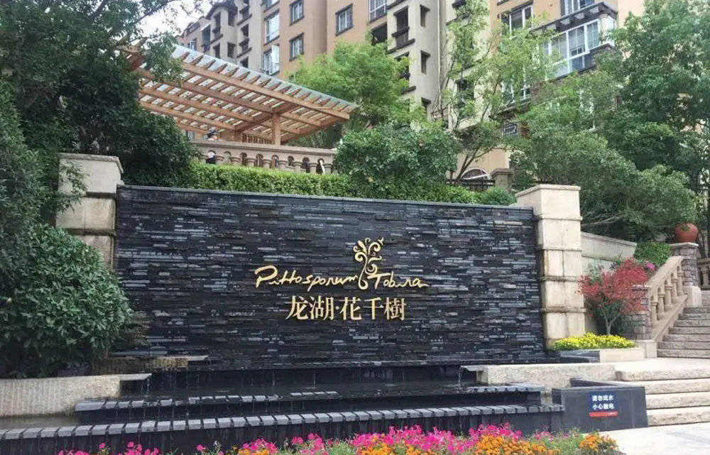 2022值得期待的生活新变化-WordPress极简博客