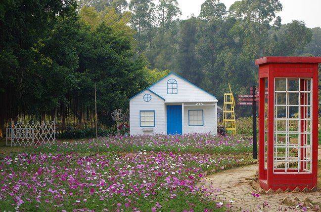 广州冷门景区，花开季节景色超美，人文景观建筑多，知道的人不多