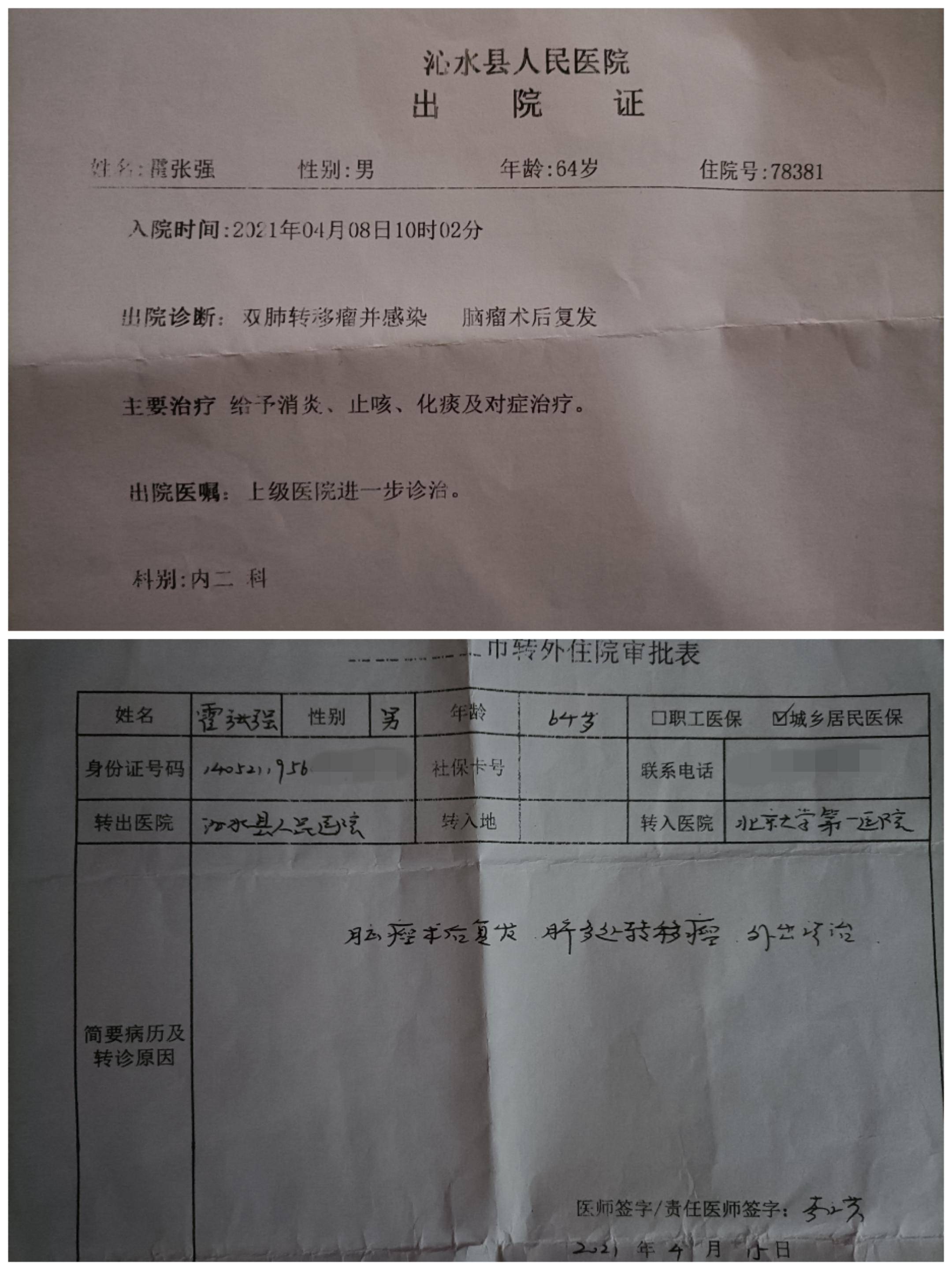 病理检查报告单怎么看图片