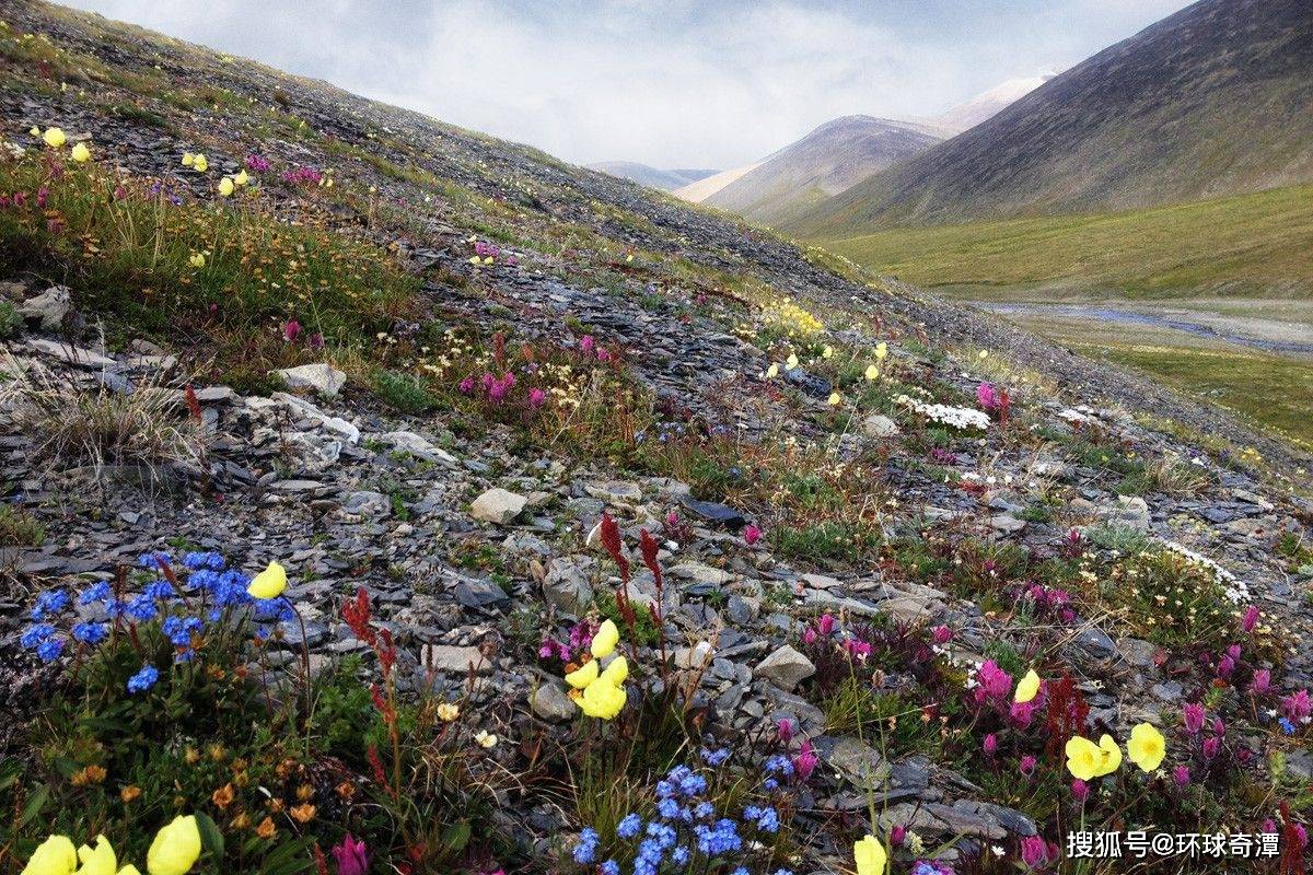 世界尽头的楚科奇半岛15张令人难以置信的照片