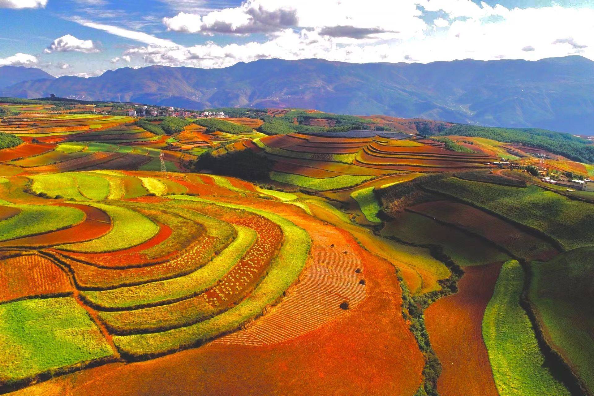 自然的恩泽_大地_土地