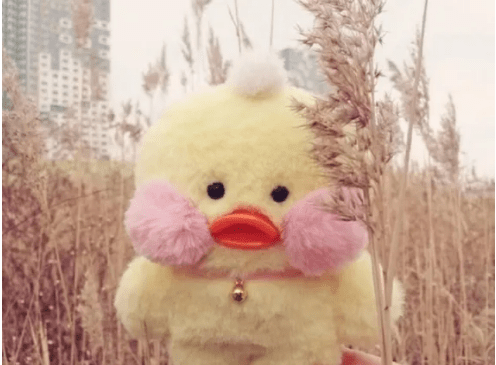脸部医美风靡世界，爱美，女人有错吗？