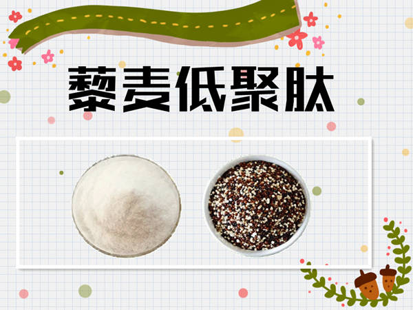 藜麦百科丨什么是藜麦低聚肽
