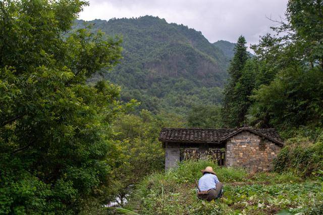 山裡的古村,至今已600多年曆史,景色美如