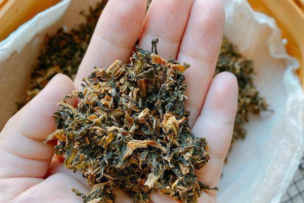 原创又到了腌菜的季节试试梅干菜奶奶用了几十年的方法味道纯正