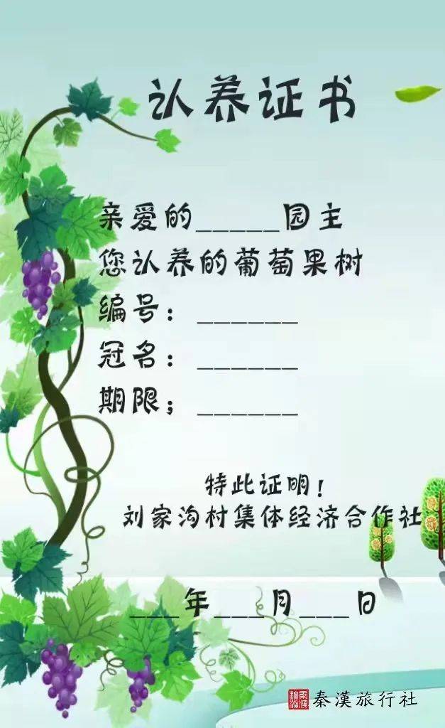 认养一棵葡萄树