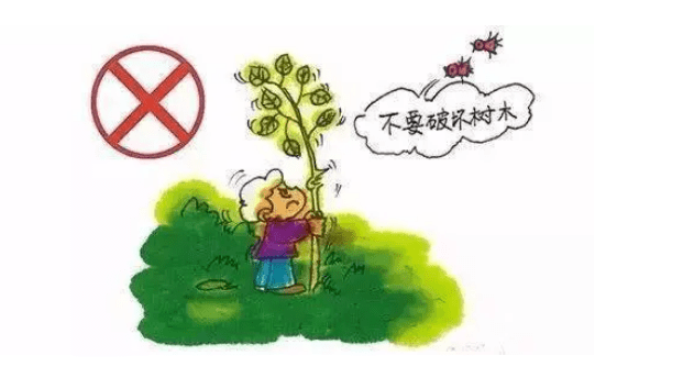 原创孩子破坏花草树木怎么教育劝导孩子爱护花草树木的方法