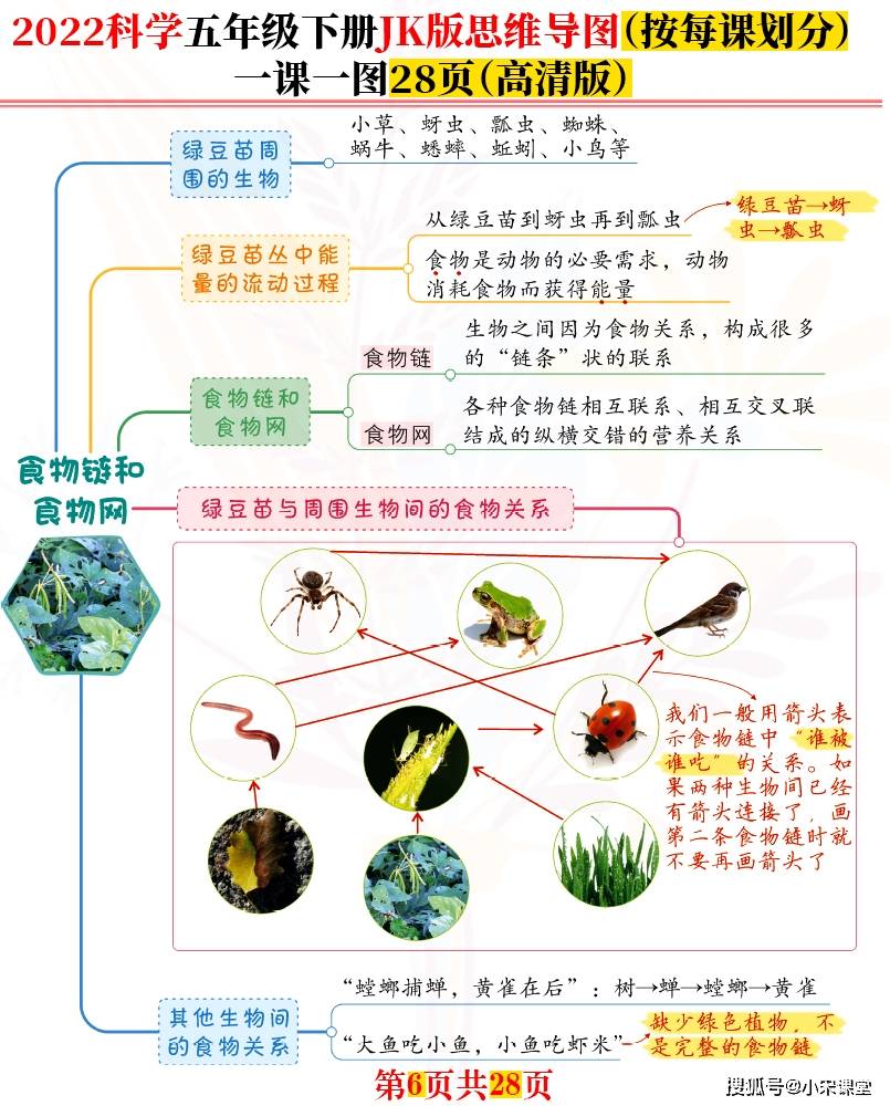 画关于蚯蚓的思维导图图片