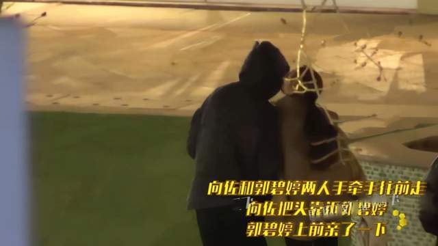 向太 向太怎么突然胖成这样!穿花袄化浓妆一看就强势,郭碧婷偷亲向佐