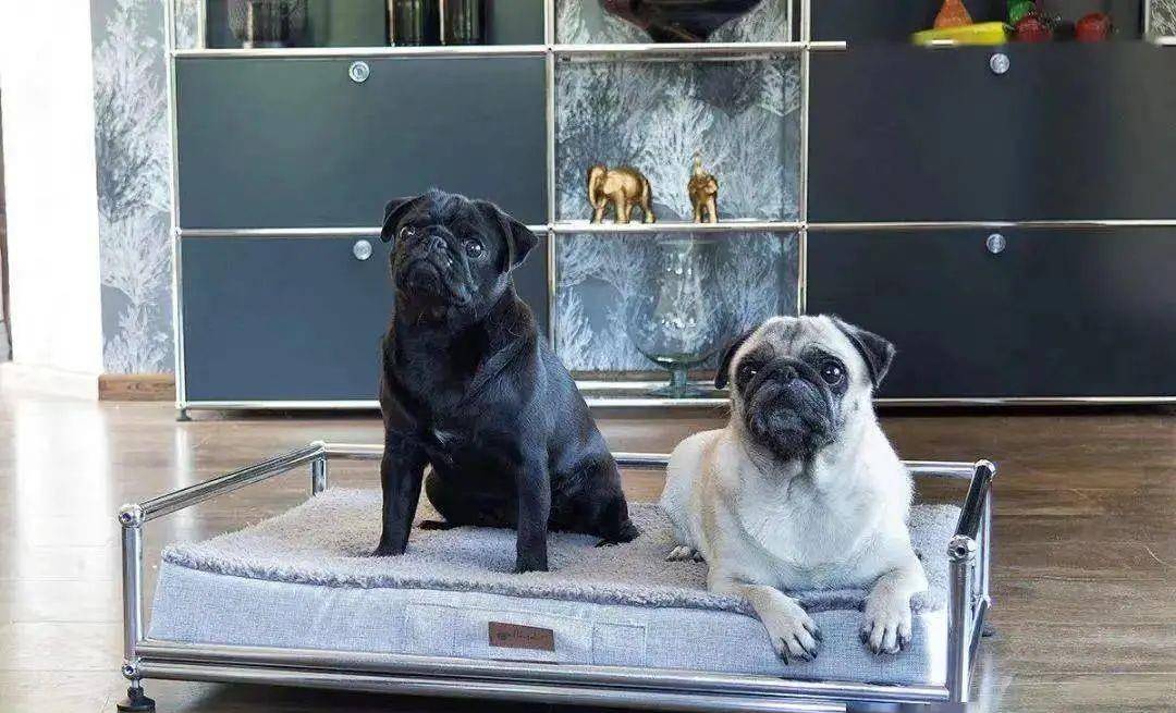 别墅|鹿晗北京8千婚房曝光！600㎡独栋别墅，关晓彤乐坏了吧