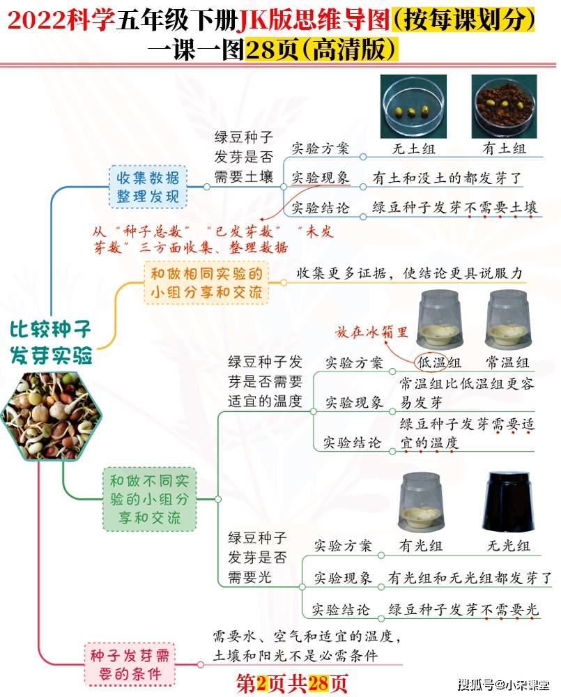 绿豆苗的结构图图片