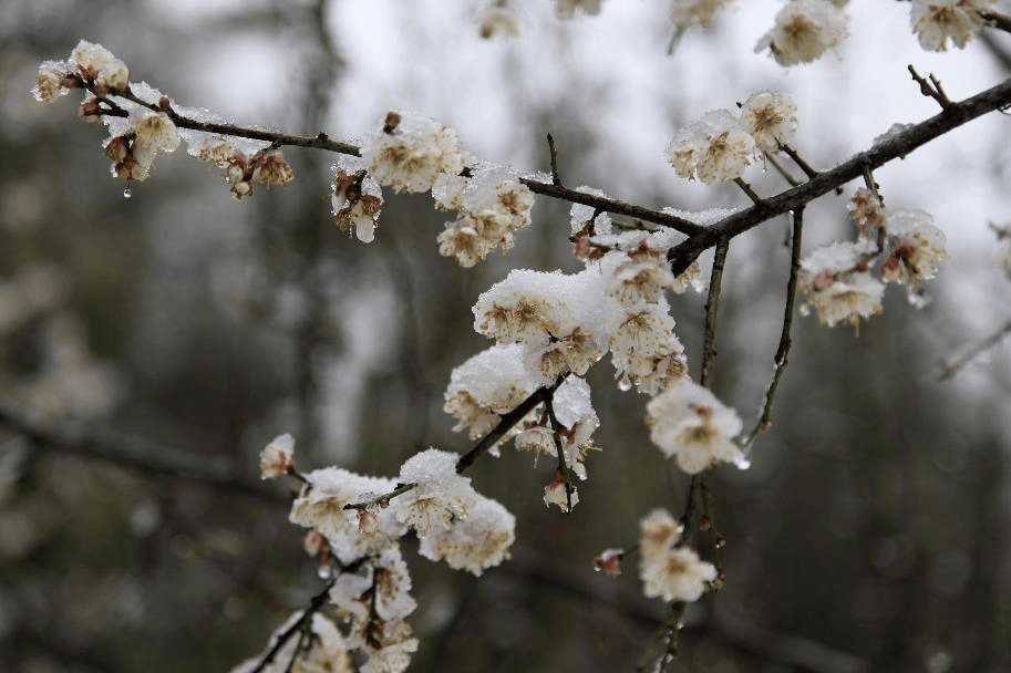 生机|镜头丨目之所及——春天里