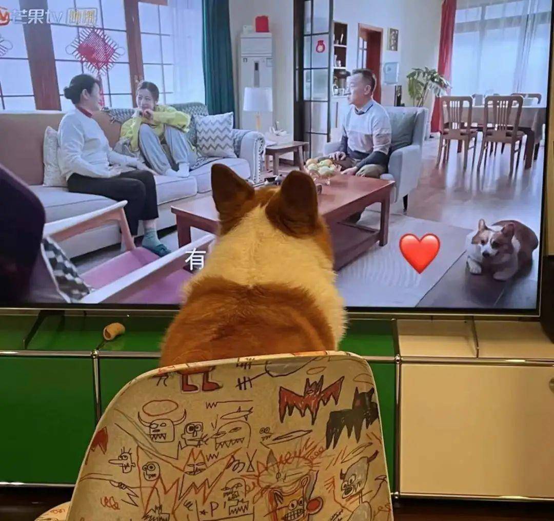 别墅|鹿晗北京8千婚房曝光！600㎡独栋别墅，关晓彤乐坏了吧