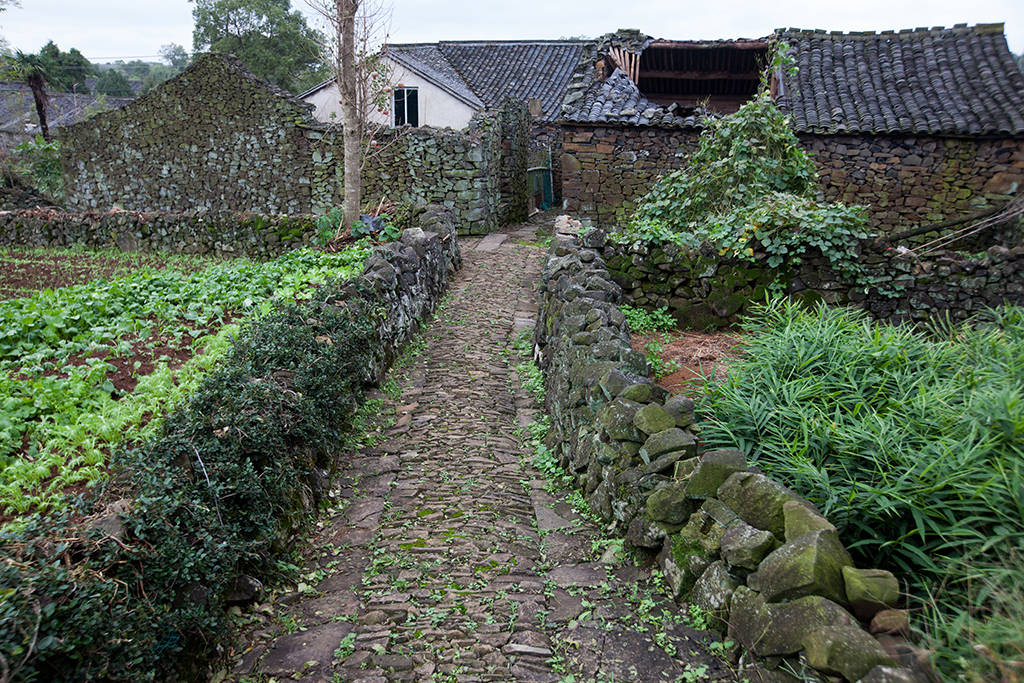 历史|浙江宁波有个石头村，风景如画民风淳朴，露营旅行选它没商量