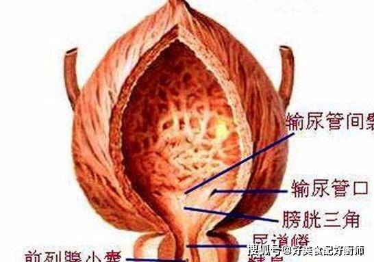 泌尿外科術後的家中護理,六大類乾貨分析_病人_尿道_尿液