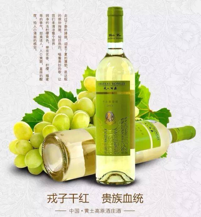 亚洲|2017《亚洲葡萄酒指南》，戎子酒庄斩获多项大奖
