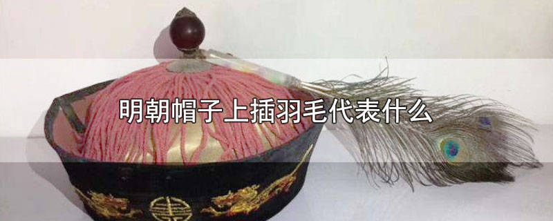 清朝官員的帽子插羽毛代表什麼犯錯要摘出頂戴花翎發配寧古塔