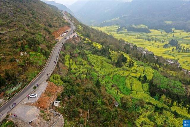 门票|罗平油菜花堪称东方大花园：满目金黄香百里，一方春色醉千山