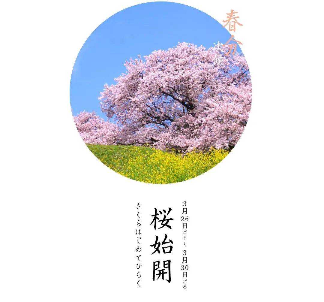 春分の日 | 日本人居然把春分当作清明过?