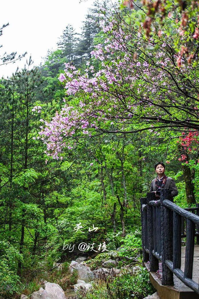 大别山|九天仙女散花，竟形成一片人间仙境，日本专家夸它是“华中之最”