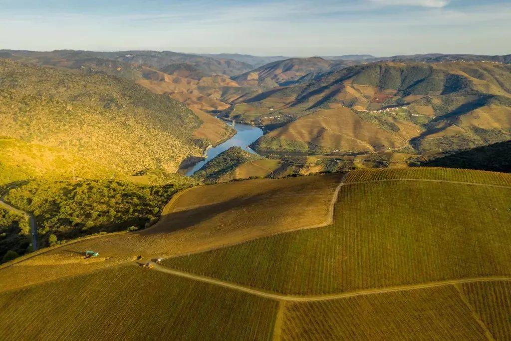 皇家|【28th Interwine】葡萄牙皇家酒庄熙德古堡庄园