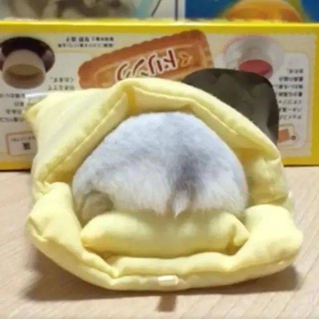 大象老虎屁屁摸不得，但ta的可以，不过不能贪摸哦！