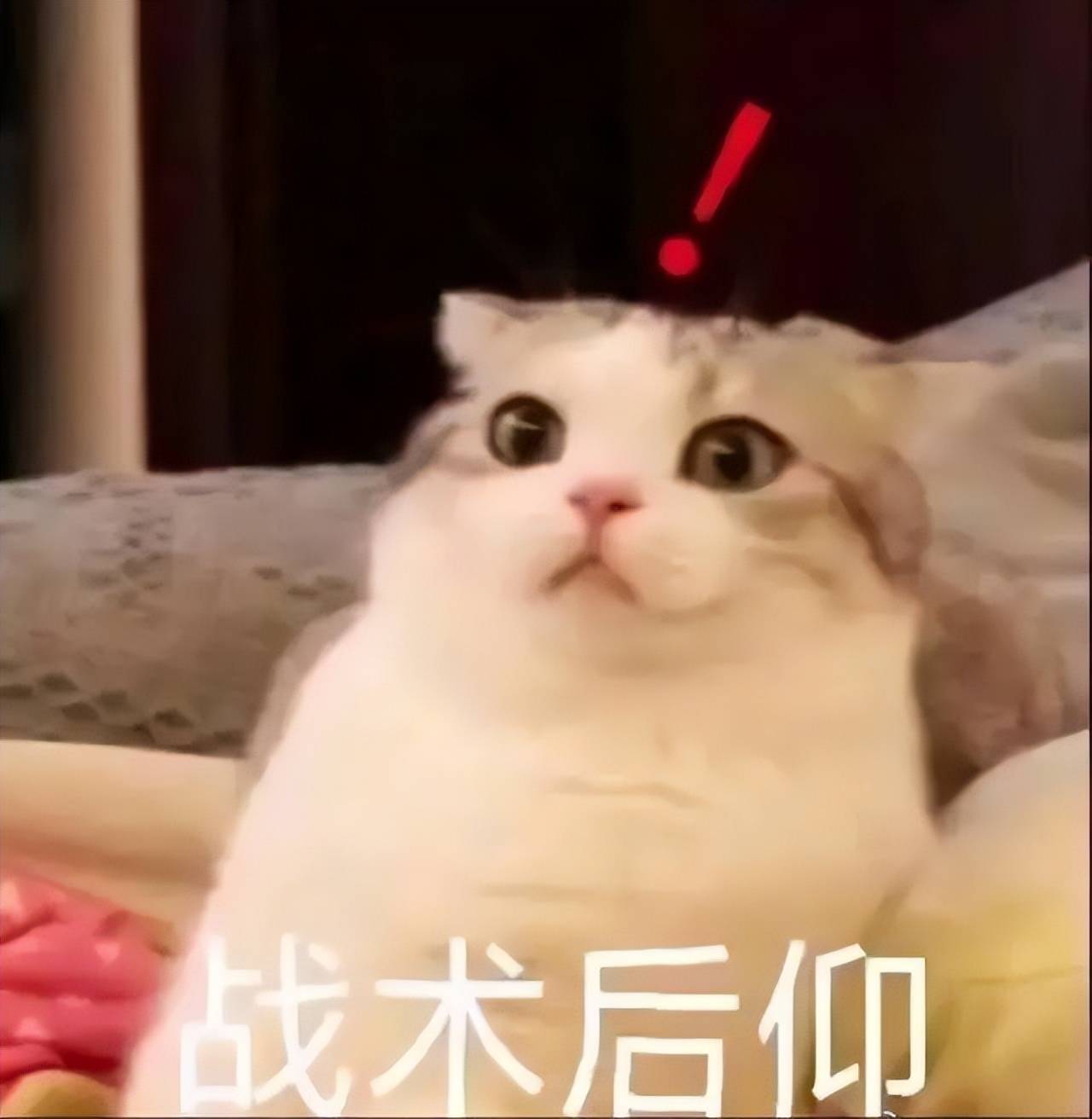 因为安妮海瑟薇是怎么回春的？