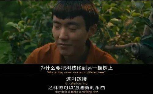 未来世界|白人爱品茶、机器人读老庄...韩裔导演的这部科幻家庭片，打通了东西哲学？