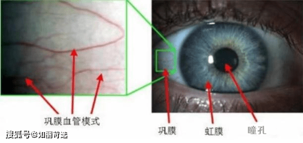 眼睛叫我阿姨？！为什么现在二三十岁的年轻人，外貌上的年龄特征没那么明显了？
