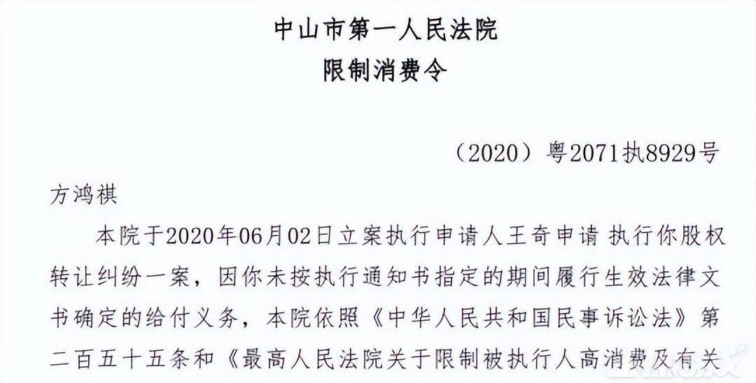 玩家|国内首个游戏汉化公司，当年想做中国任天堂，如今老板都成老赖？