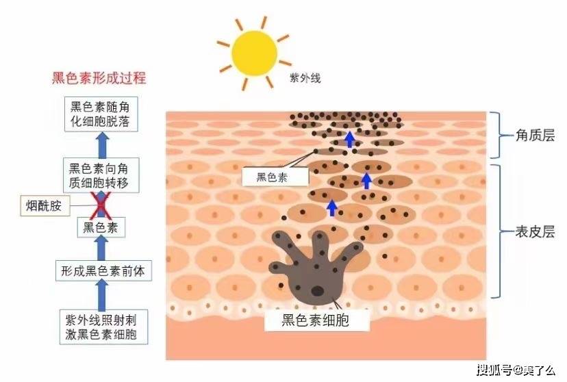 科普【小科普】 说说??上面市??常见的美白面膜