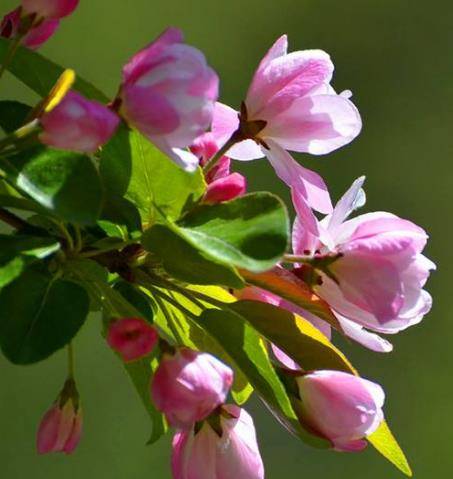 5月26日开始运气好 贵人带着财富贵 未来光明灿烂 喜事不断 兔子 生活 马人