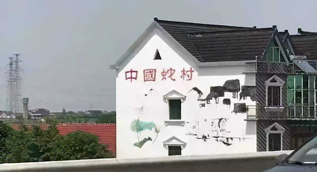 中国第一蛇村150户人家养数百万条蛇为何鲜有年轻人继承