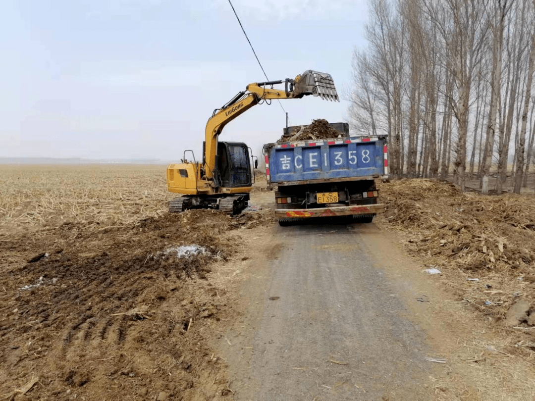 双辽市双山镇开展2022年春季人居环境集中整治活动为疫情防控保驾护航