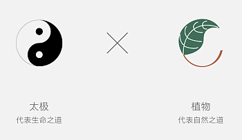 头皮方寸好物 | 侧柏洗发水，东方养发智慧