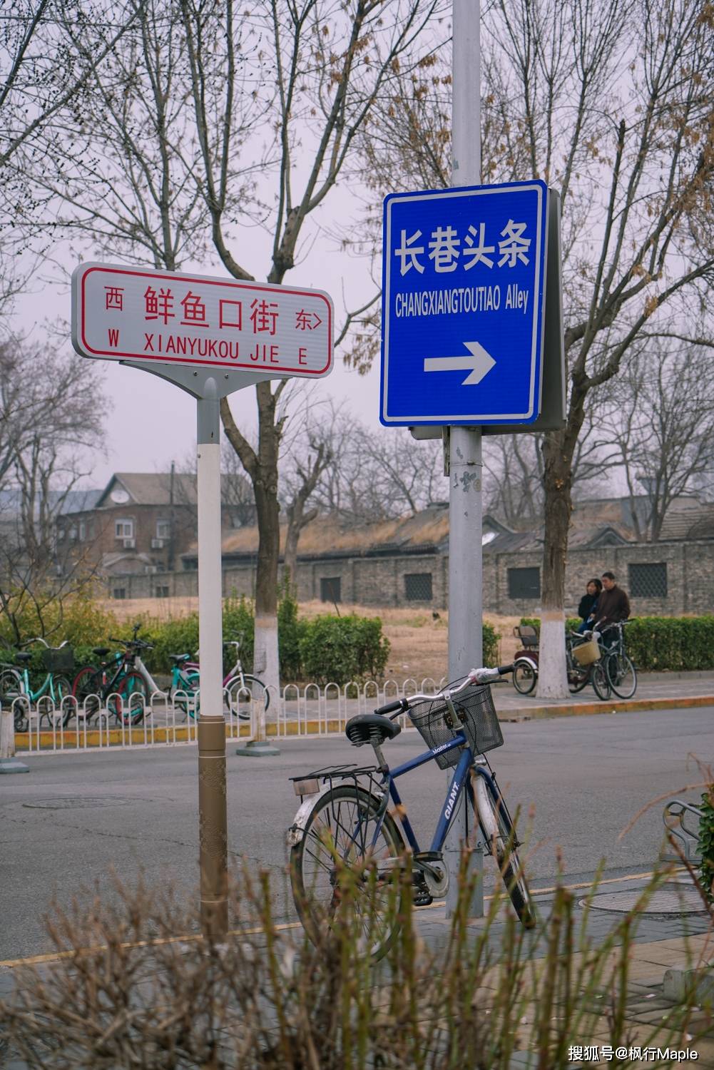 一夜之间，北京前门这个小公园，因为绝美桃花出了名；附拍摄攻略