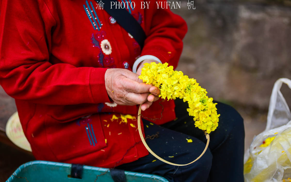 景区|景区花环仅卖3元1个，重庆人太实诚了吧？直言知足常乐，比种地强