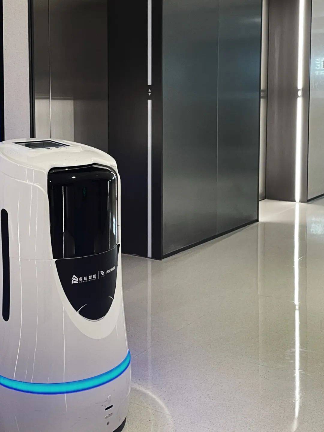 办公室躺平神器你的专属机器人上线全时候随传随达