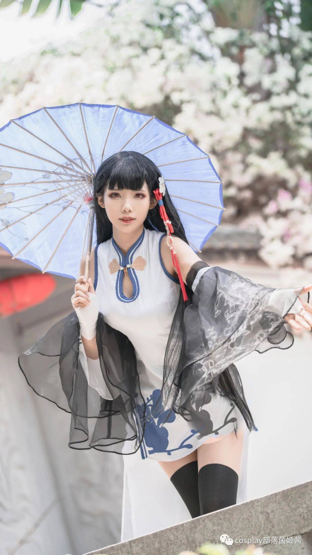 cos碧蓝航线旗袍逸仙cos正片榛子